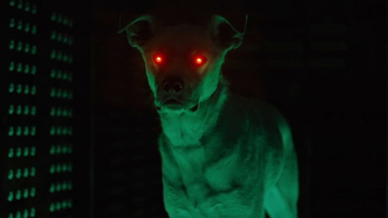 Titãs | Novo trailer destaca a chegada de Krypto e Superboy na série