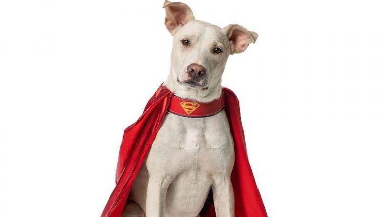 Titãs | Joshua Orpin compartilha imagem do Superboy nos bastidores de gravações e revela o novo Krypto da série