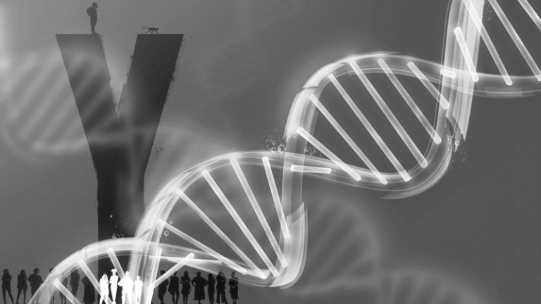 Y: O Último Homem | Série aborda a intersexualidade genética